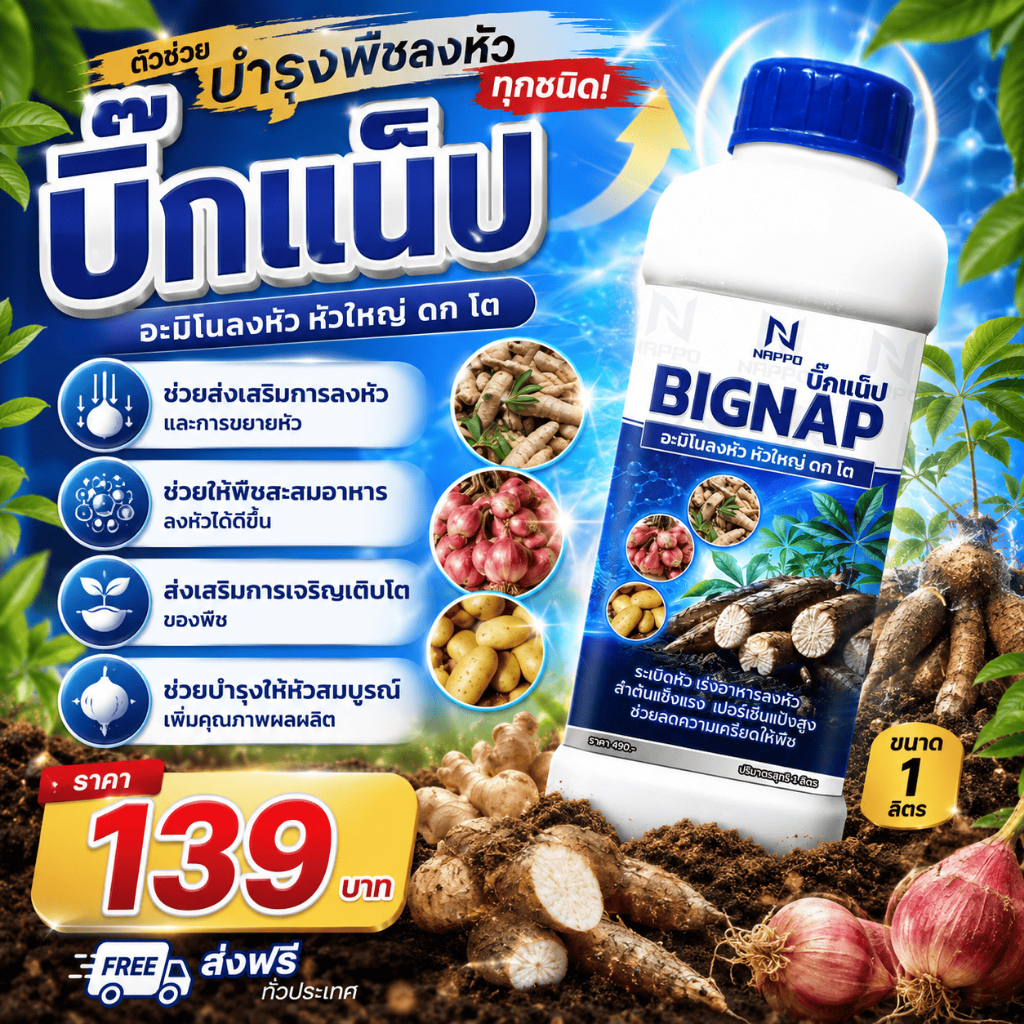 บิ๊กแน็ป อะมิโนลงหัว หัวใหญ่ ดก โต สูตรสำหรับพืชลงหัว ช่วยส่งเสริมการเจริญเติบโตและสะสมอาหาร 1ลิตร