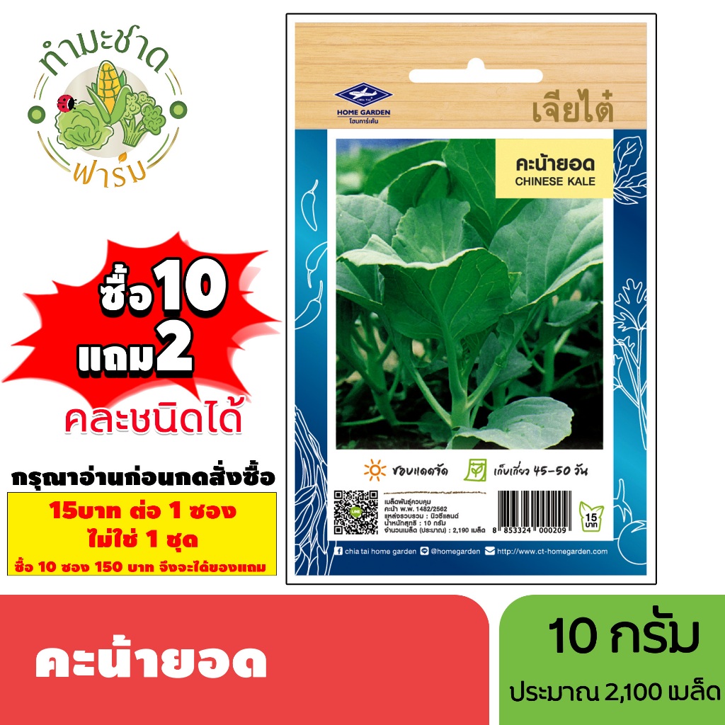 [1ซอง] เจียไต๋ (ซื้อ10แถม2) เมล็ดพันธุ์ คะน้ายอด ขนาด10กรัม ประมาณ2,190เมล็ด Chinese Kale คะน้า เมล็ดพันธุ์พืช เมล็ดผัก