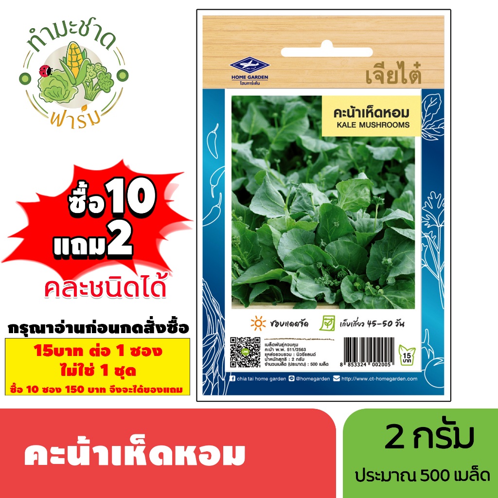 [1ซอง] เจียไต๋ (ซื้อ10แถม2) เมล็ดพันธุ์ คะน้าเห็ดหอม ขนาด2กรัม ประมาณ500เมล็ด Mushrooms Kale  คะน้า เมล็ดพันธุ์พืช เมล็ด