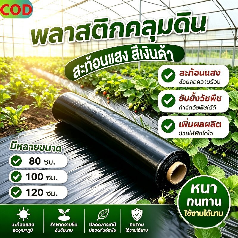 พลาสติกคลุมดินสีดำเงิน กว้าง 0.8/1.0/1.2เมตร เมตร ยาว 400เมตรพลาสติกกันวัชพืช มีรังสียูวี กันวัชพืช ปลูกผัก ปลูกผลไม้