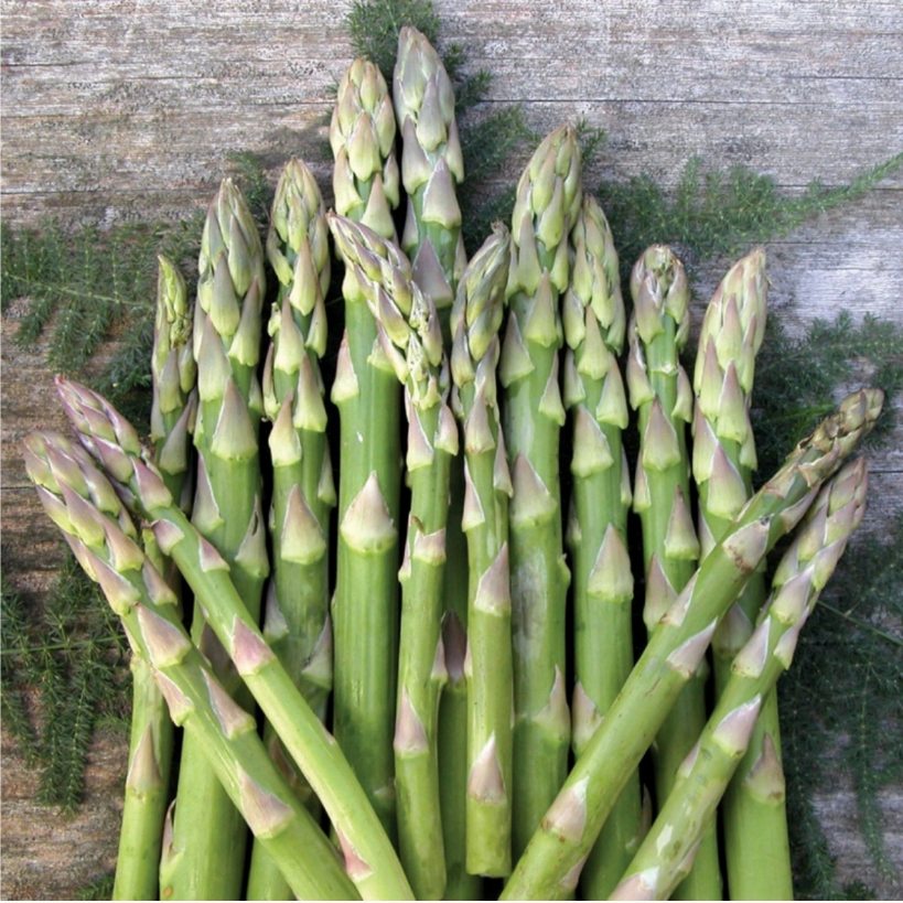 เมล็ดหน่อไม้ฝรั่ง   Asparagus U800 F1 ***Emerald Seed  USA***