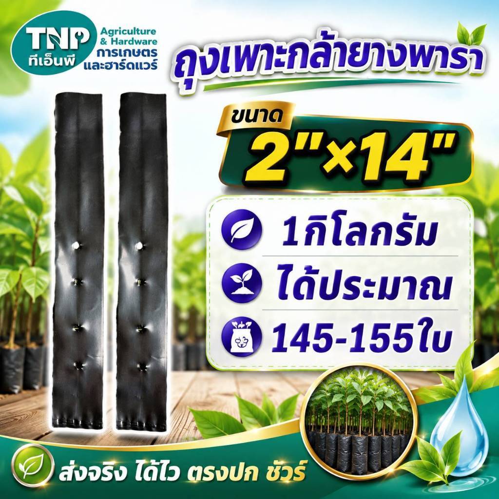 ถุงเพาะกล้ายางพาราง(พับข้าง) ขนาด 2"x14"(1 กิโลได้ประมาณ145-155ใบ)