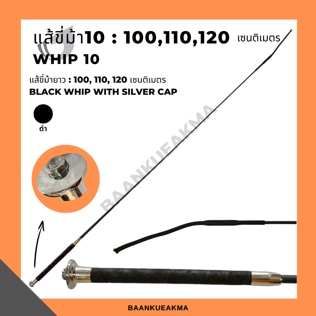 whip10 : แส้ขี่ม้า100,110,120 cm