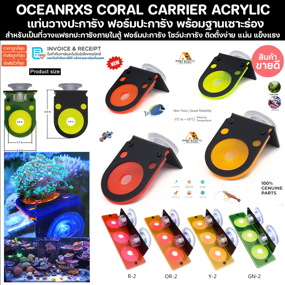 OCEANRXS แท่นวางปะการัง แฟรกปะการัง Coral Frag Rack Fluorescent Coral Brackets Holder Marine Reef Aquarium ปลาทะเล ปลา