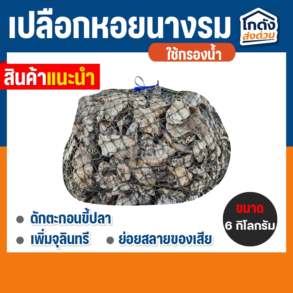 เปลือกหอยนางรม 6 kg.ใส่ถุงตาข่ายอวนเขียว พร้อมใช้งาน
