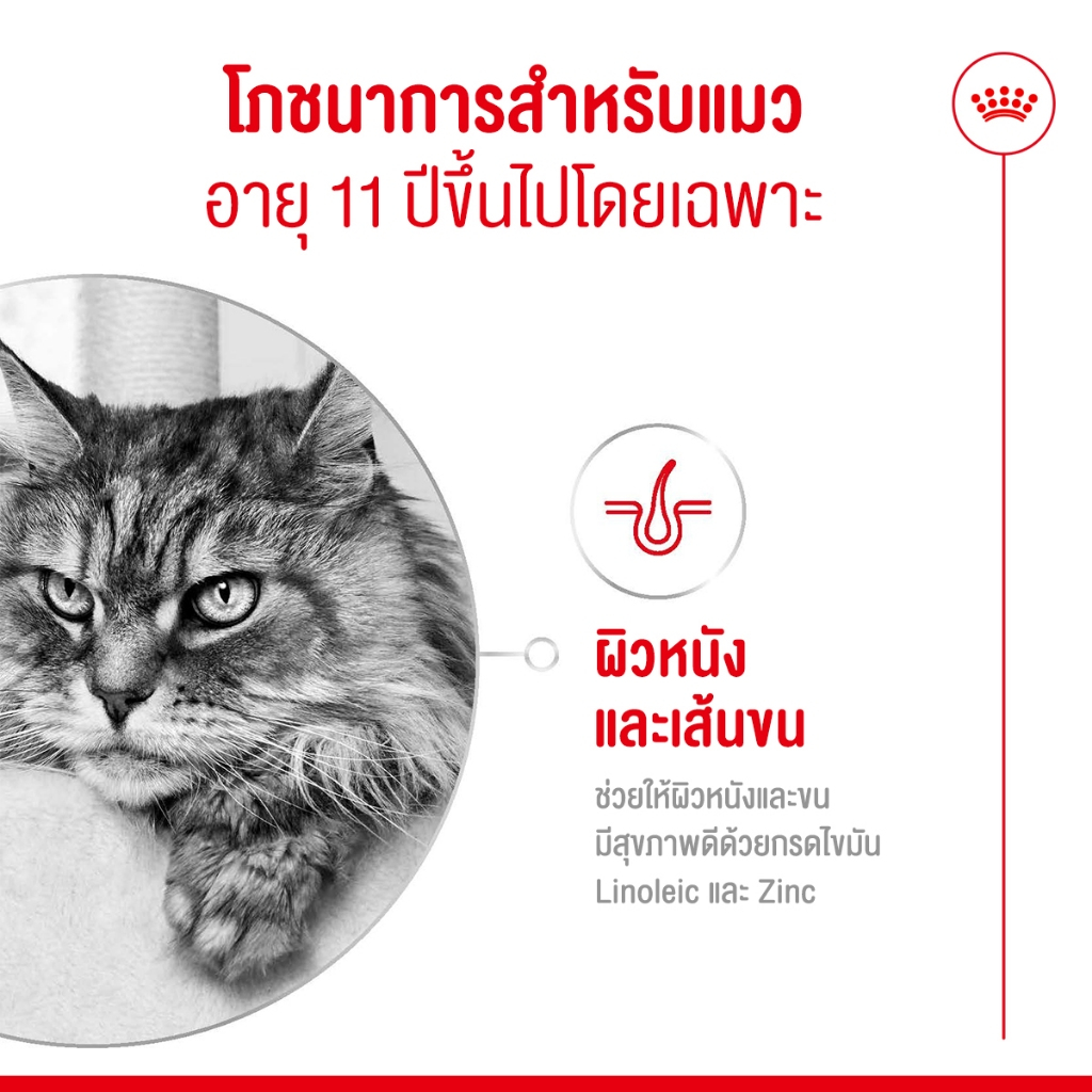Royal Canin Ageing 11+ طعام قطط كبيرة رطب بالمرق (12 كيس) — صورة 5