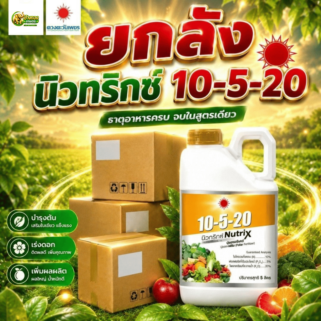 (ยกลัง5L*4) 10-5-20 นิวทริกซ์ 5L (ดวงตะวันเพชร)