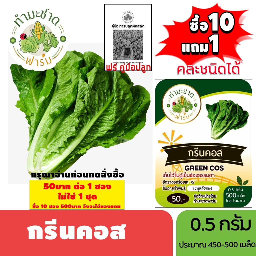[1ซอง] ทำมะชาดฟาร์ม (ซื้อ10แถม1) เมล็ดพันธุ์ กรีนคอส   ขนาด0.5กรัม ประมาณ500เมล็ด GREEN COS ROMAINE LETTUCE ผักคอส ผักสล