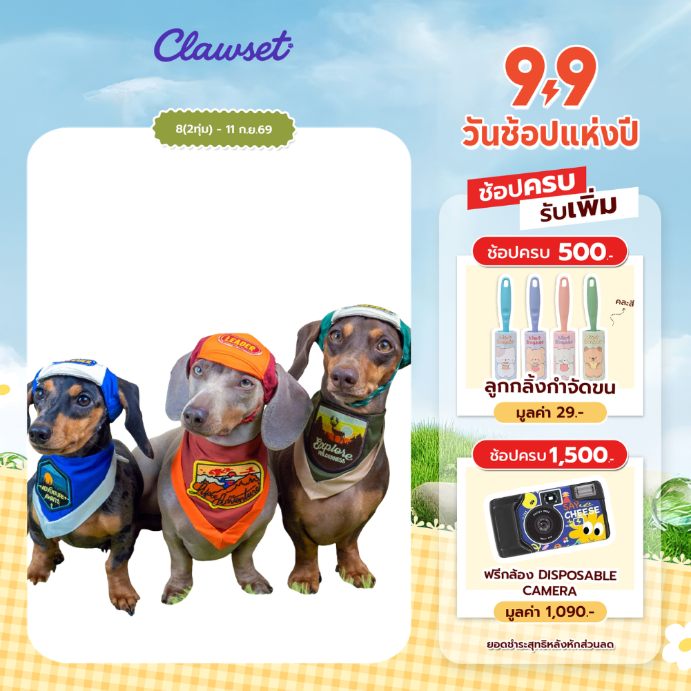 [สินค้าราคาพิเศษ] ผ้าพันคอสัตว์เลี้ยง ตีมลูกเสือ ผ้าพันคอหมา แมว | CLAWSET.BKK