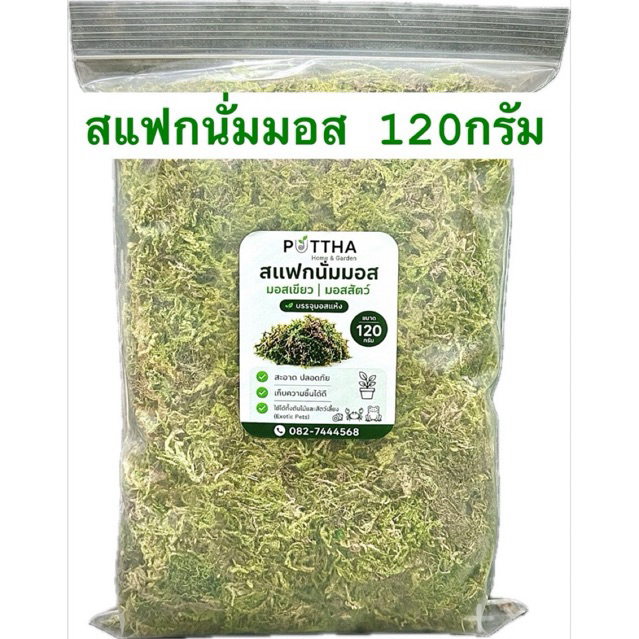 Sphagnum moss สแฟกนั่มมอส มอสแห้ง มอสเลี้ยงสัตว์ มอสเขียว 120กรัม