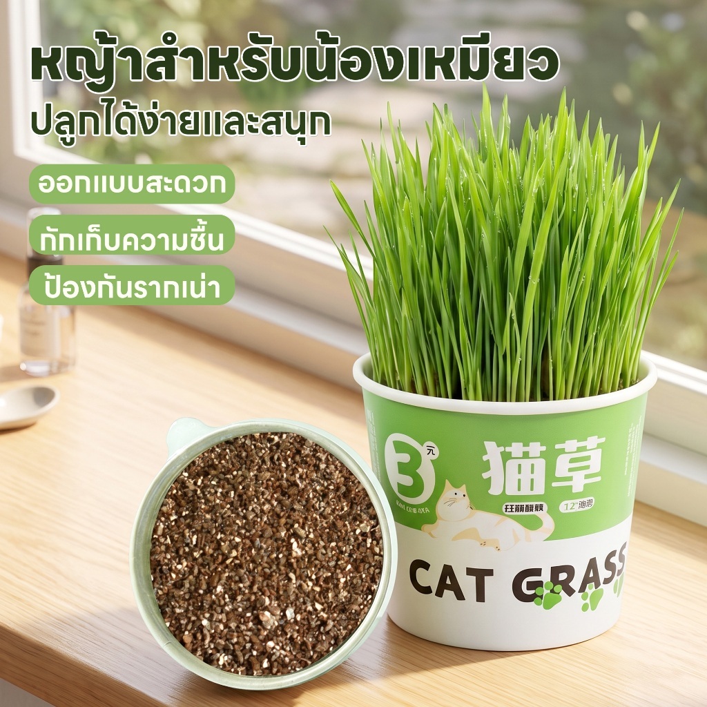 yoyopet : หญ้าแมว ชุดปลูกข้าวสาลี ชุดหญ้าออร์แกนิคพร้อมปลูก วิตามินแมว สำหรับหมา,แมว,หนู,กระต่ายฯลฯ รูปที่ 2