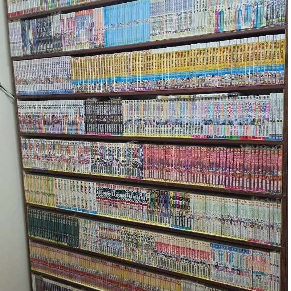 (ครบจบ) หนังสือการ์ตูน อะโหยัยโง่ Aho Girl ผลงานของ Hiroyuki 12 เล่มจบ มังงะญี่ปุ่น