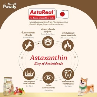 Pawdy อาหารสุนัขโตเกรดโฮลิสติก ใส่ Astaxanthin AstaReal™ สูตรเนื้อแกะรมควัน อายุ 1–6 ปี 6-8 กก.