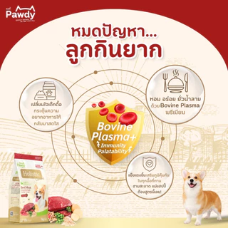 Pawdy อาหารสุนัขโตเกรดโฮลิสติก ใส่ Astaxanthin AstaReal™ สูตรเนื้อวัวย่างและเห็ดทรัฟเฟิล อายุ 1–6 ปี 1 กก.
