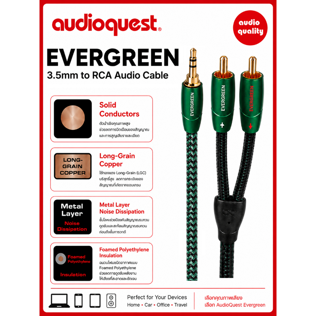 AudioQuest EVERGREEN (3.5mm to RCA)
