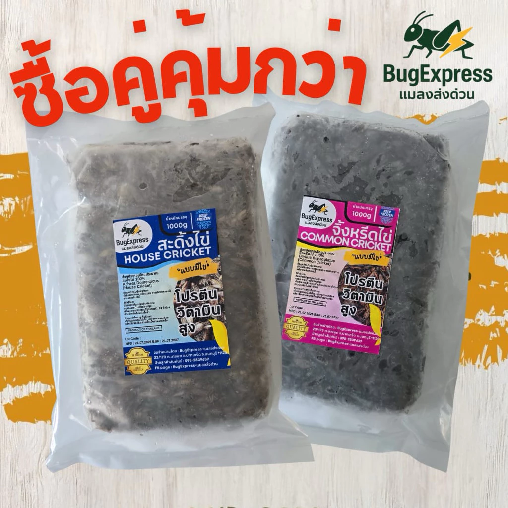 สะดิ้งไข่ 1000กรัม กับ จิ้งหรีดไข่ 1000 กรัม ยี่ห้อแมลงส่งด่วน ต้มสุกแล้วแช่แข็ง ไม่ใส่เกลือ