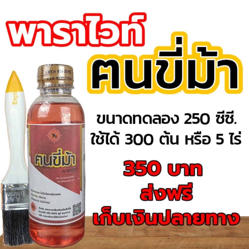 ฅนขี่ม้า พาราไวท์ 250 ซีซี. ขนาดราคาพิเศษ