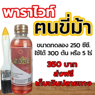 ฅนขี่ม้า พาราไวท์ 250 ซีซี. ขนาดราคาพิเศษ