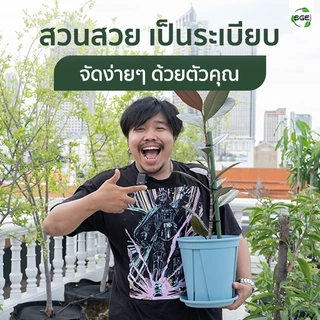 SGE ข้อต่อไม้ค้ำยันต้นไม้ 90 องศา รุ่น GSP-C ประกอบง่าย ใช้ประกอบทำซุ้ม โครงค้ำยันต้นไม้ 5 ชิ้น