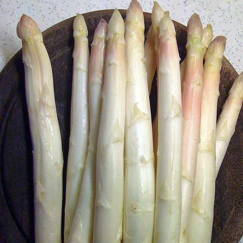 10 หน่อไม้ฝรั่ง สายพันธุ์ สีขาว White Asparagus