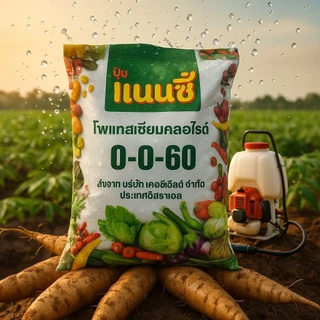 ปุ๋ยเกร็ดแนนซี่สูตร 0-0-60 เพิ่มน้ำหนัก เพิ่มแป้ง เพิ่มความหวาน ขยายขนาดผล เร่งเต่ง ลมเบ่ง ลงหัว ขนาด 1กก.