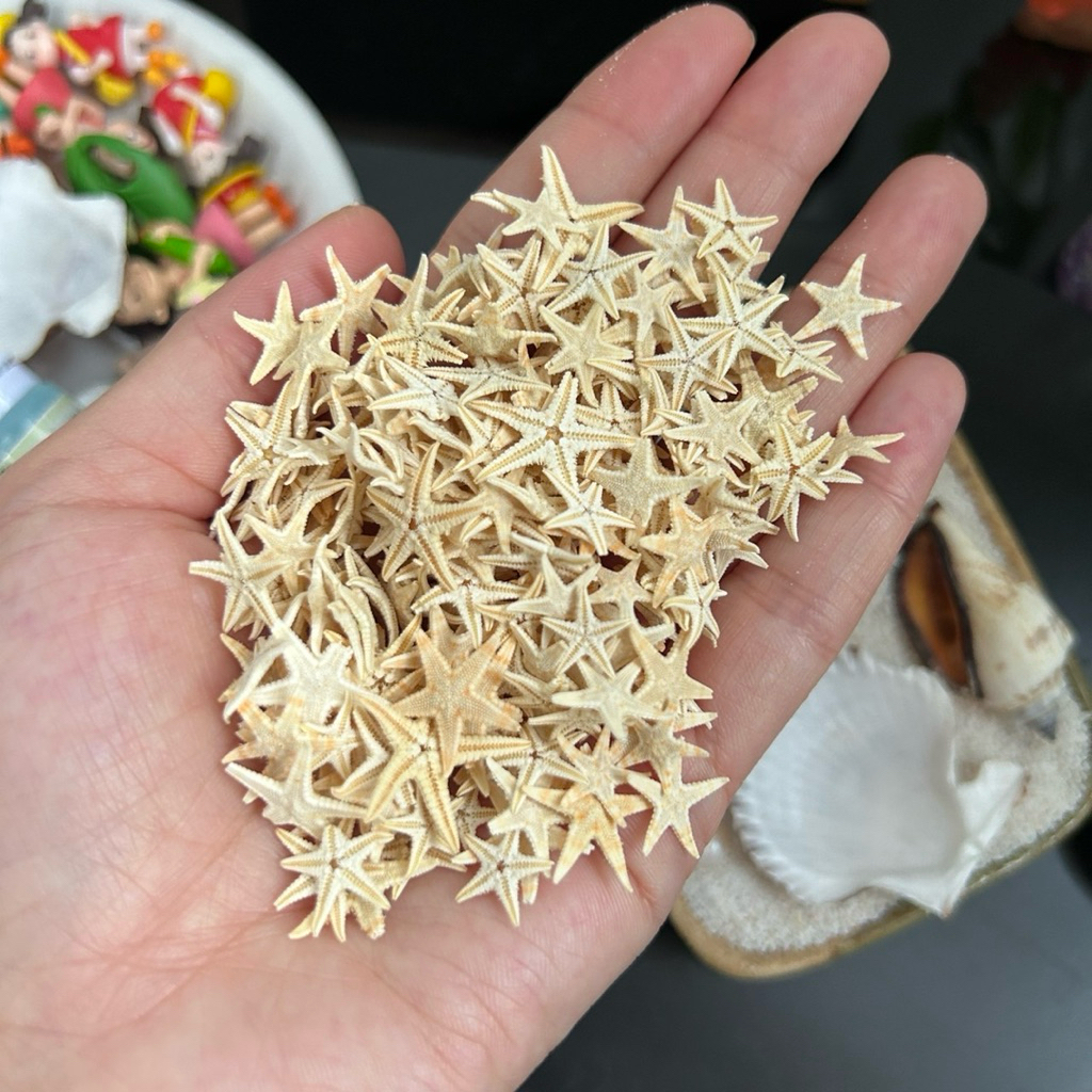 ปลาดาว ตกเเต่งโหลมาริโมะ ใช้ตกแต่งตู้ปลา มีของพร้อมส่งค่า