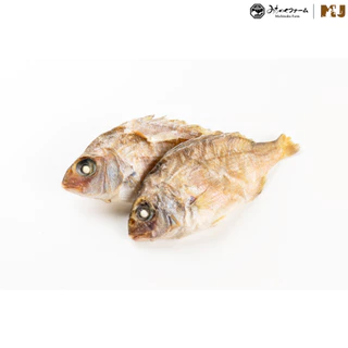 Small Red Sea Bream 50g. มิชิโนกุฟาร์มปลามาได หรือ ปลากะพงแดงญี่ปุ่น จากจังหวัดโคชิประเทศญี่ปุ่น