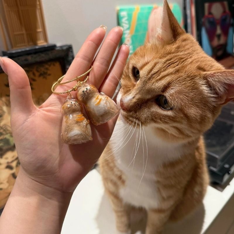 จี้กล่องเก็บขนแมวแบบใสแบบใหม่มีหลากหลายสไตล์ให้เลือกพวงกุญแจจี้แคปซูลเก็บขนแมว พวงกุญแจ - รูปที่ 3