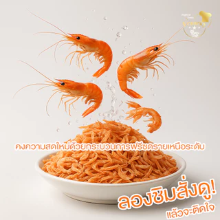 ✨ หอมยั่วน้ำลาย! Francky กุ้งฟรีซดราย 100% (40g) ขนมกระตุ้นการกินสุนัข-แมว แคลเซียมสูง โปรตีนแน่น