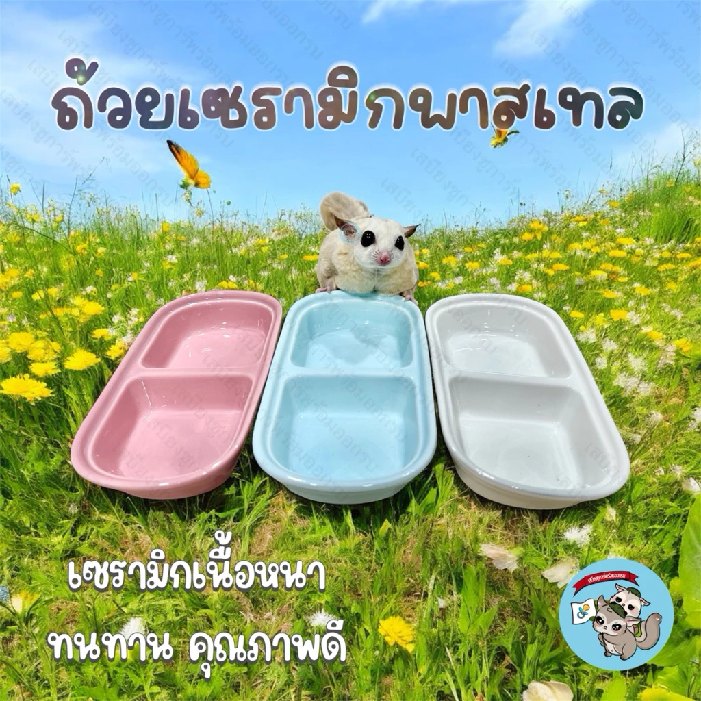 ( ถ้วยเซรามิกพาสเทล ) ถ้วยเซรามิก ถ้วยอาหารสัตว์เล็ก ถ้วยอาหารชูการ์