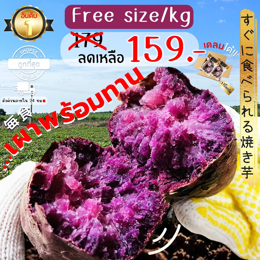 Oishi-Fresh มันหวานญี่ปุ่น🇹🇭ปลูกไทย🇹🇭 เพอเพิ่ลสวีท เผาพร้อมทาน เนื้อม่วง หอม หวาน 500 กรัม สินค้าเคล