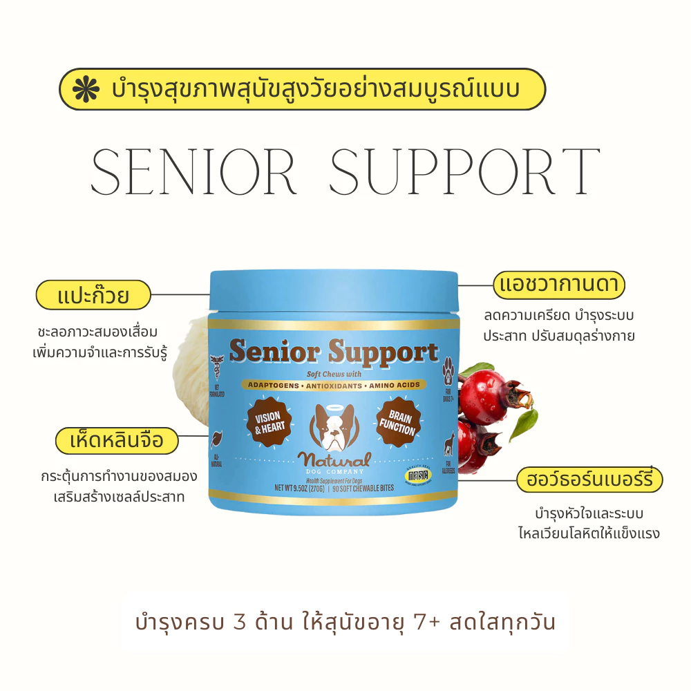 Senior Support Chew วิตามินบำรุงสุนัขสูงวัย 7+ | โอเมก้า ลูทีน บำรุงสมอง หัวใจ สายตา สุขภาพครบถ้วน | Natural Dog Company thumbnail 4