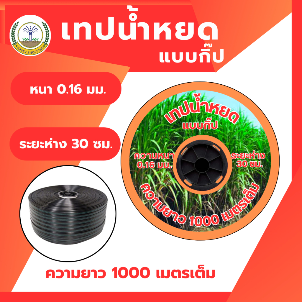 เทปน้ำหยด สายน้ำหยด ระยะห่าง 30 cm ความหนา 0.16มิล ความยาว 1000 เมตรเต็ม คละยี่ห้อ