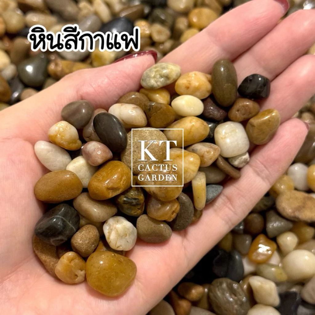 หินสีกาแฟ หินธรรมชาติ รองพื้นตู้ปลา แต่งตู้ปลา/ตู้ไม้น้ำ/โหลปลากัด