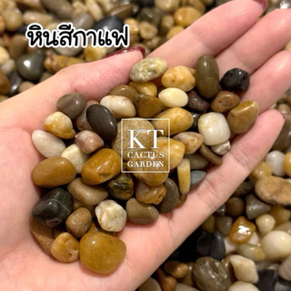 หินสีกาแฟ หินธรรมชาติ รองพื้นตู้ปลา แต่งตู้ปลา/ตู้ไม้น้ำ/โหลปลากัด