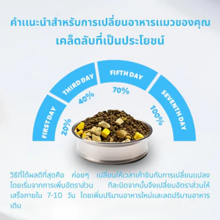 Mr.Vet อาหารแมว T1 1กก Chicken & Beef Premium อาหารแมวสําหรับ Digestiveon Improvement