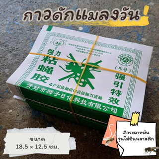 แผ่นกาวดักแมลงวัน กาวดักแมลงวัน