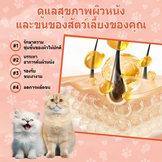 Popoo Omega 3 Fish Oil for Cats น้ํามันปลา บำรุงขน ผิวหนังและข้อต่อ สำหรับสุนัขแลทุกวัย วิตามินแมว 120 แคปซูล