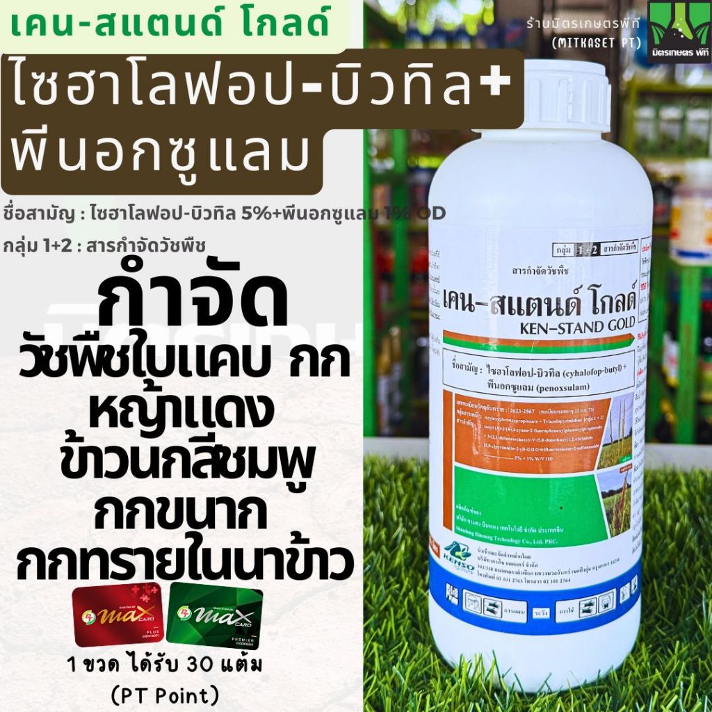 เคน-สแตนด์ โกลด์ สาร ไซฮาโลฟอป บิวทิล + พีนอกซูแลม ขนาด 1 ลิตร ช่วยกำจัด หญ้าดอกขาว กก หญ้าแดง หญ้าข้าวนก วัชพืชใบแคบ