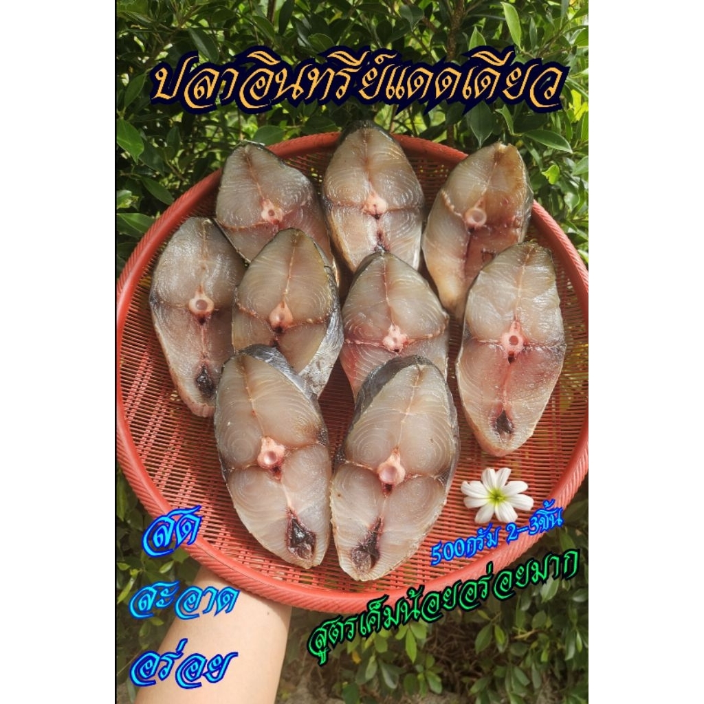 ปลาอินทรีย์แดดเดียว แบบหั่นชิ้น 2-4ชิ้น 500 กรัม สดใหม่จากชาวประมง เค็มน้อยอร่อยมากสูตรพิเศษจากทางร้าน
