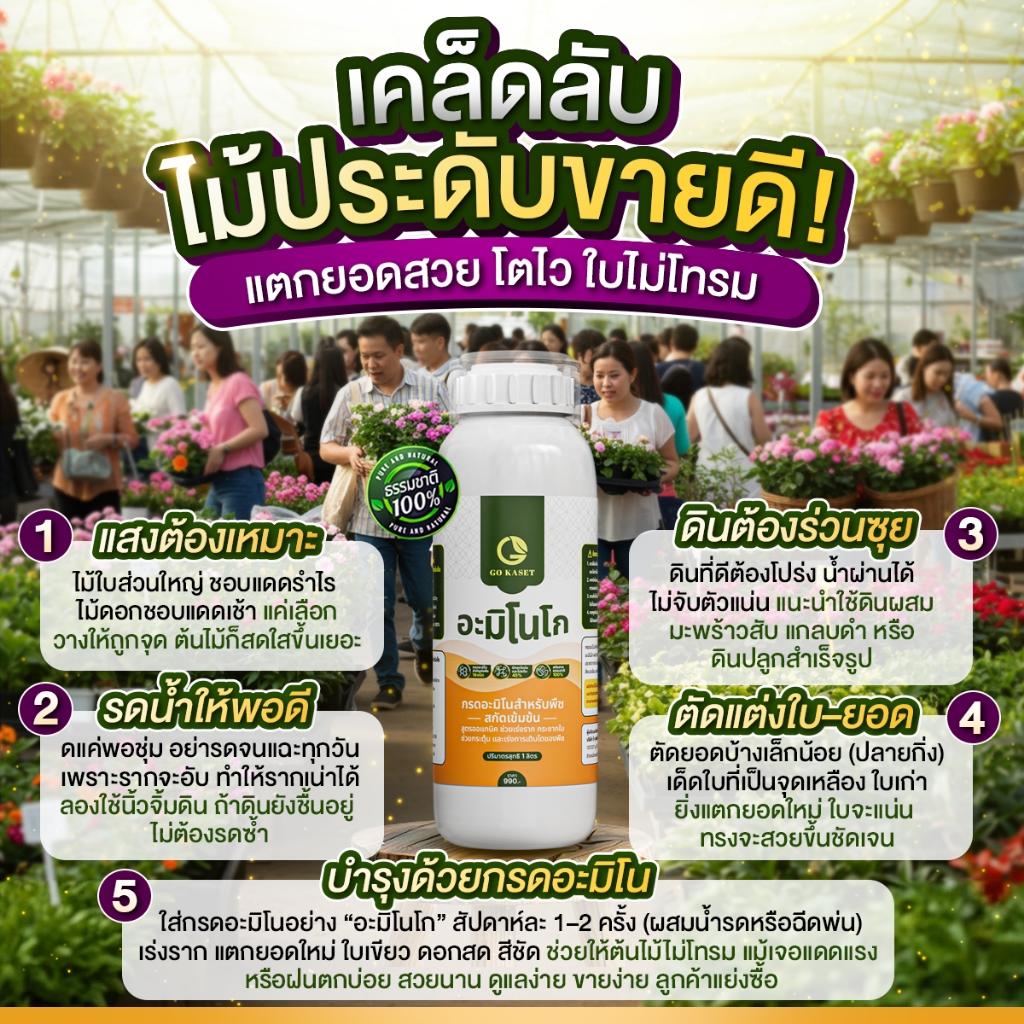 [3ขวด] อะมิโนโก(ขวดเล็ก) 500 ML - AMINO GO กรดอะมิโนสำคัญต่อพืช19ชนิด สูตรออร์แกนิค ธรรมชาติ100% - รูปที่ 6