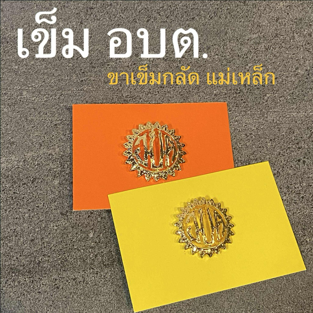 เข็มเทศบาล อบต ขาเข็มกลัดและแม่เหล็ก เข็มติดหน้าอก งานแกะมืออย่างดี