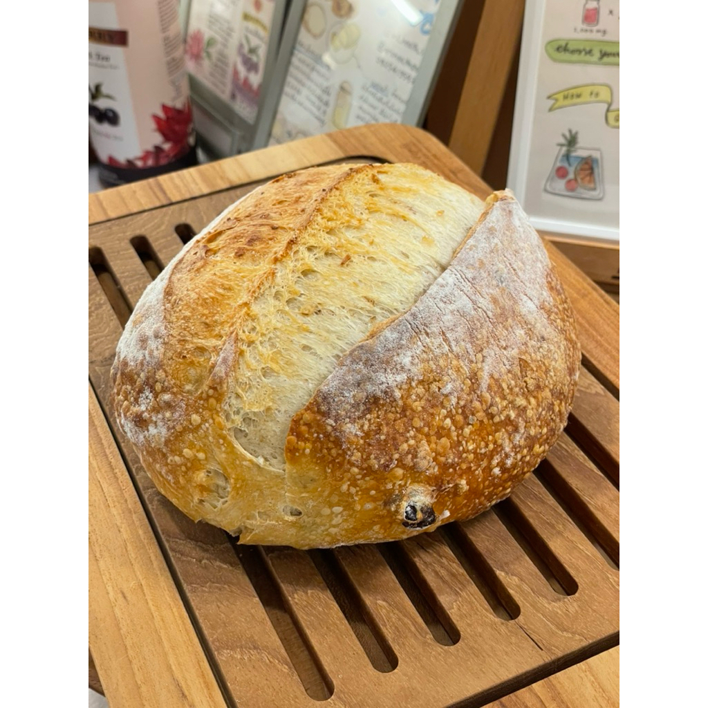 sourdough  Koji ซาวโดยีสต์ Koji