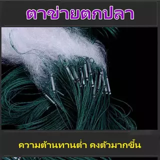 ตาข่ายตกปลา ตาข่ายดักงู อวนปลาซิว ขนาดเซน 2/4/6 ซม. ลึก80ตา รุมเชือกบนพร้อมใช้งาน รุ่นติดตะกั่ว อวน เส้นไนลอนทนทาน