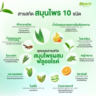 Jula’s Herb J Dent 3in1 Herbal White/3X Extra Care Toothpaste จุฬาเฮิร์บ เจเด้นท์ [มีให้เลือก 2 สูตร] [70 g./หลอด]