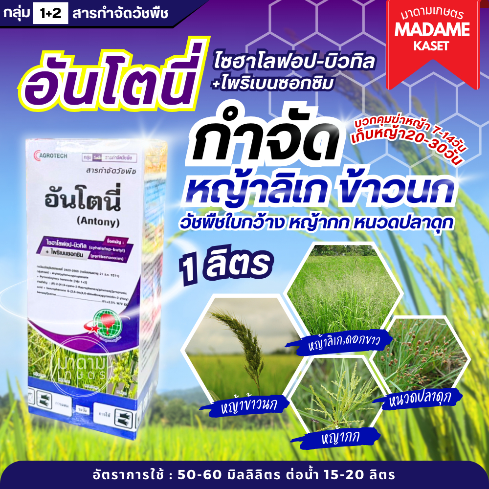 ใหม่! อันโตนี่ 2 พลังบวก (ไซฮาโลฟอบ-บิวทิล + ไพริเบนซอกซิม) 1 ลิตร ใช้กำจัดวัชพืชร้ายในนาข้าว หญ้าลิเก หญ้าข้าวนก