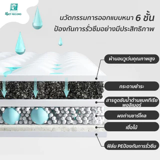 🔥 Pet Record แผ่นรองฉี่ถ่านไม้ไผ่ ซึมซับไว 5ชั้น ดับกลิ่น99% แห้งสบาย ไม่รั่วซึม แผ่นรองฉี่สุนัข 🐾