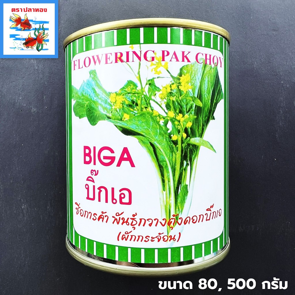 เมล็ดกวางตุ้งดอกขาว ผักกระจ้อน กระป๋อง ขนาด 80, 500 กรัม ตราปลาทอง พันธุ์ กวางตุ้งดอก Big A
