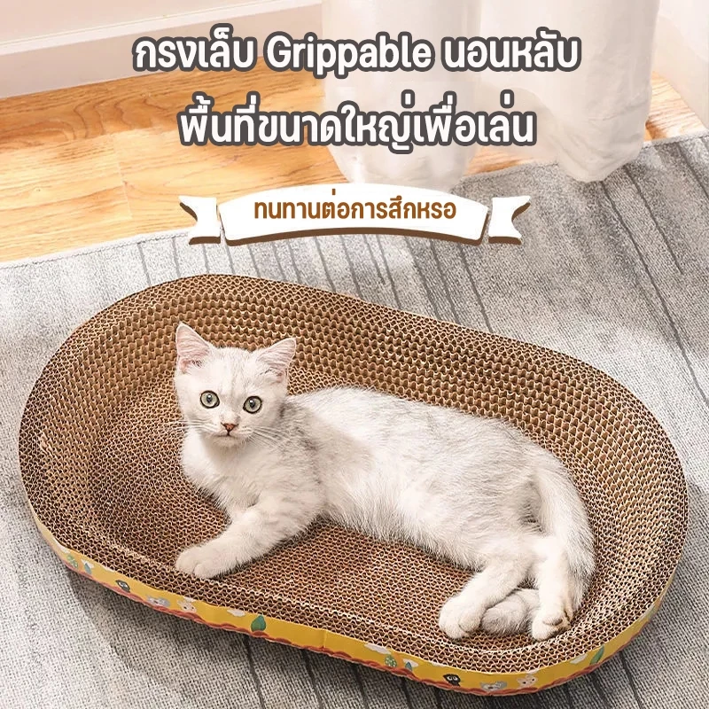 ที่ลับเล็บแมวรูปอ่าง 2in1 ที่ฝนเล็บ-ที่นอน ของเล่นแมว thumbnail 3