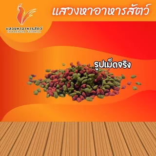 เจอร์นี่ แคท อาหารแมว รสปลาทูน่า ขนาดเม็ด 2 สี เขียว-แดง สำหรับแมวโต อายุ 1 ปีขึ้นไป 10 กิโลกรัม. และ 20 กิโลกรัม.